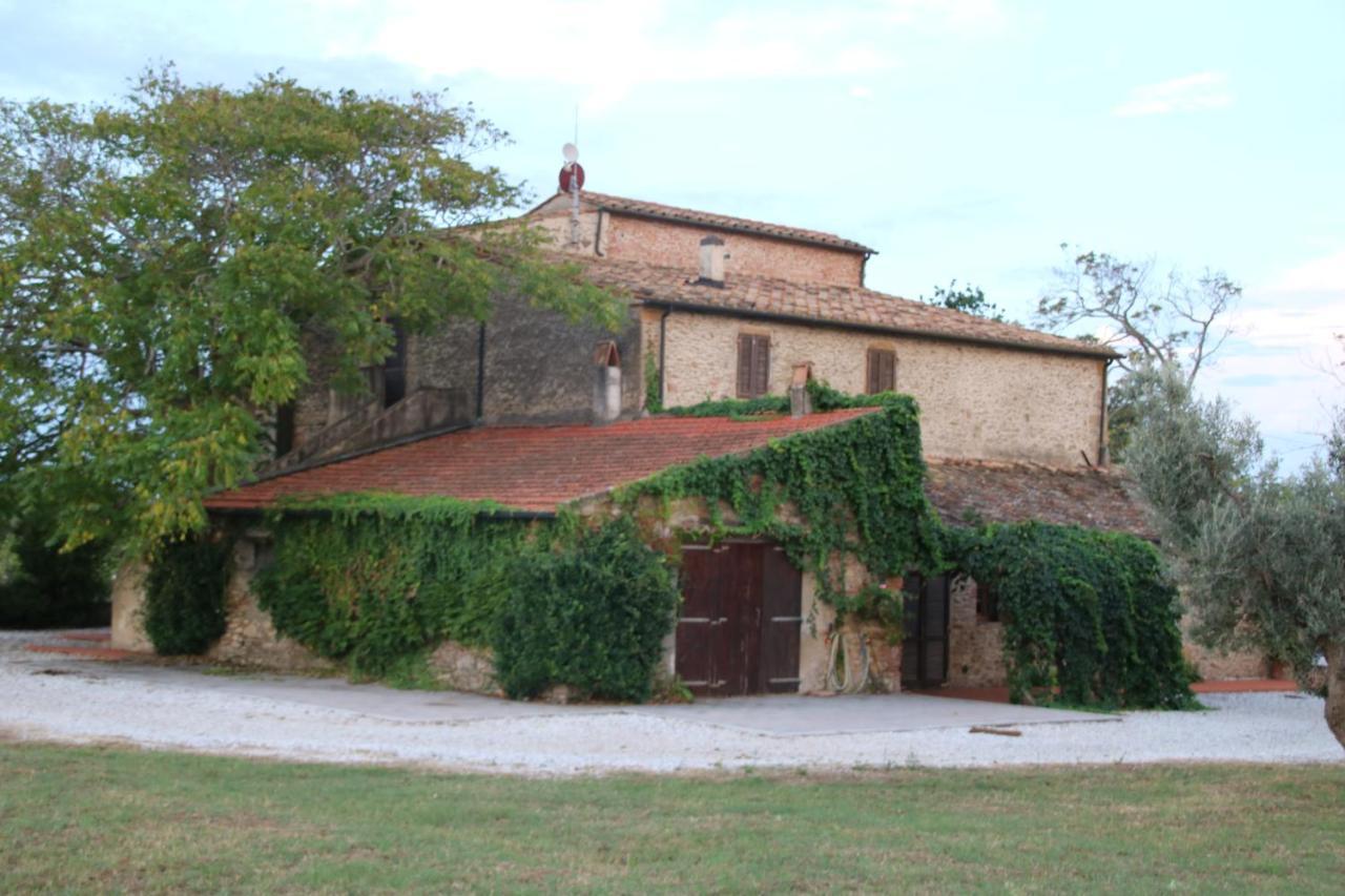 Podere Campo Alle Serpi Bibbona Exterior photo