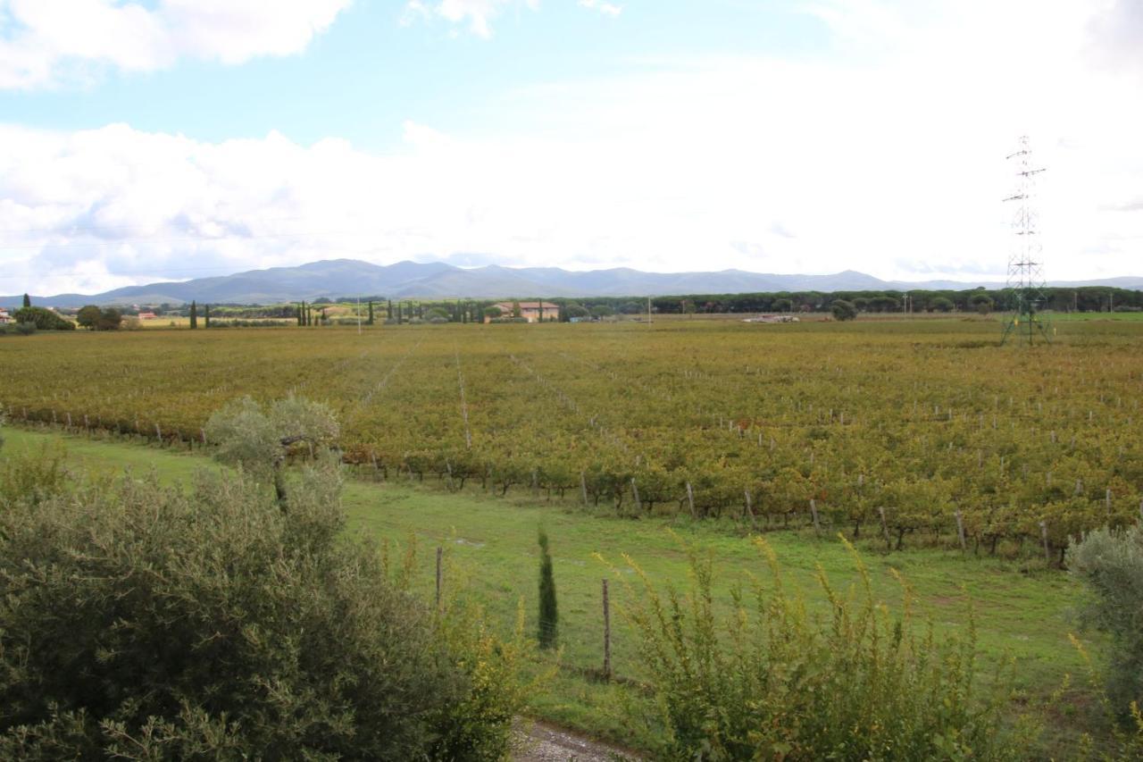 Podere Campo Alle Serpi Bibbona Exterior photo