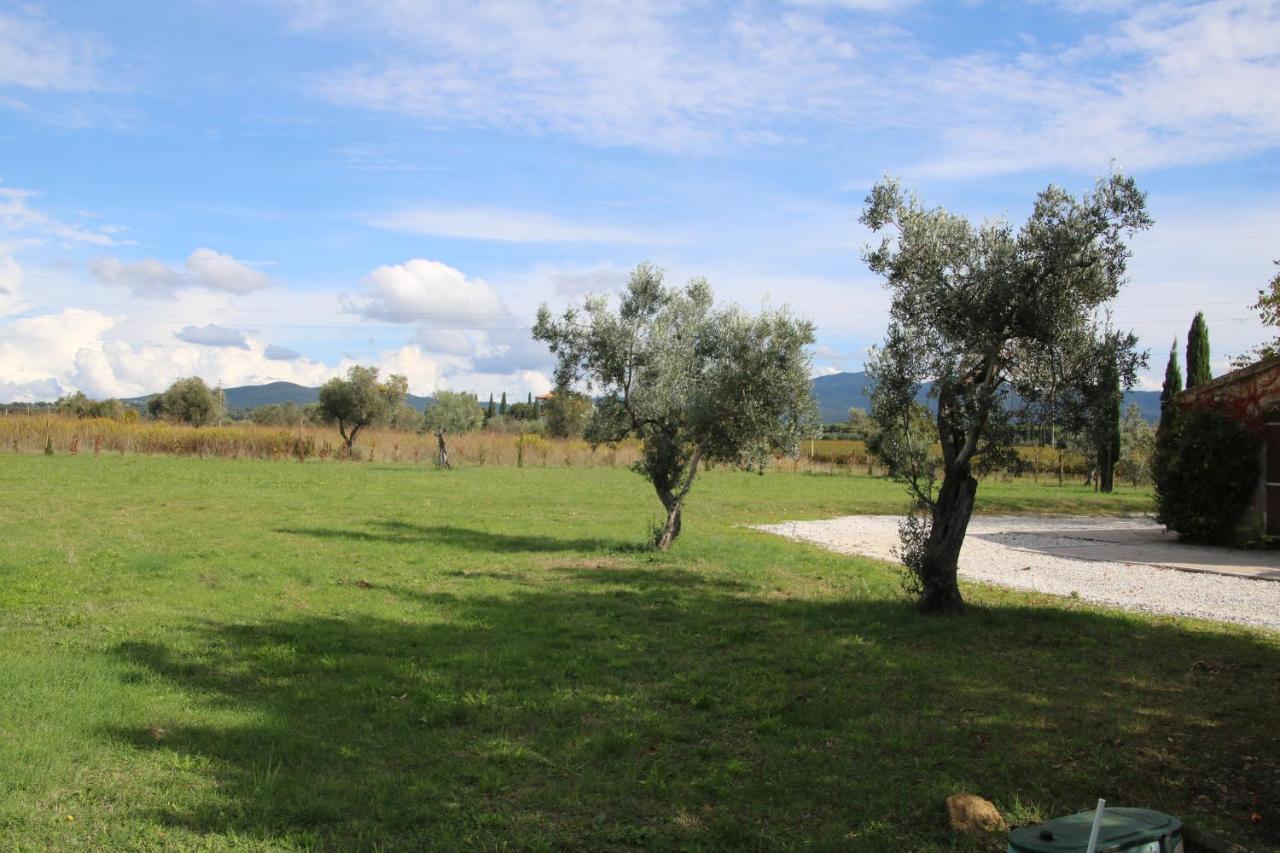 Podere Campo Alle Serpi Bibbona Exterior photo