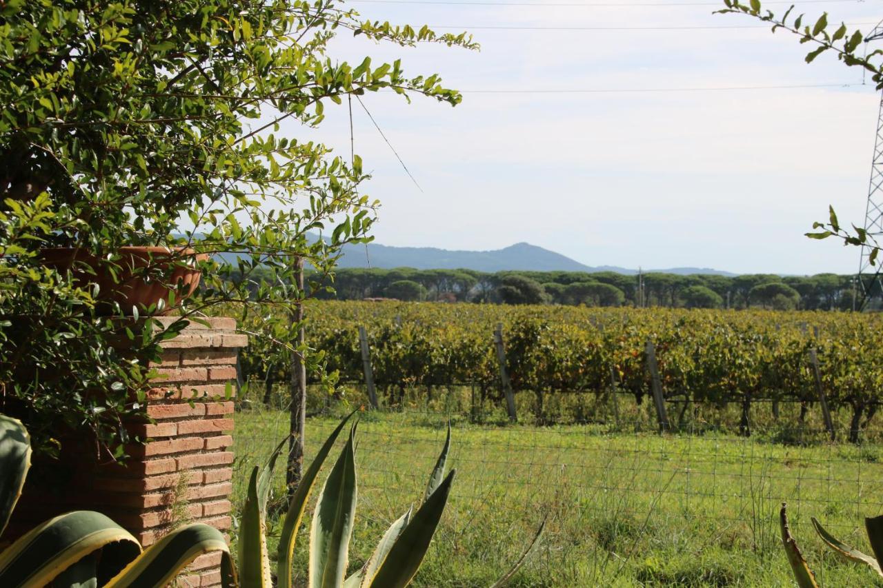 Podere Campo Alle Serpi Bibbona Exterior photo