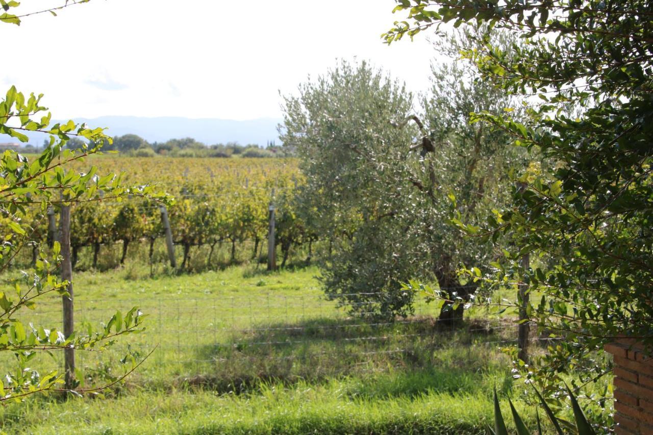 Podere Campo Alle Serpi Bibbona Exterior photo