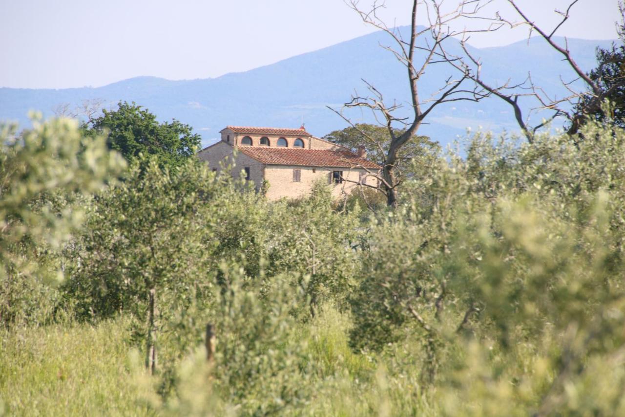 Podere Campo Alle Serpi Bibbona Exterior photo
