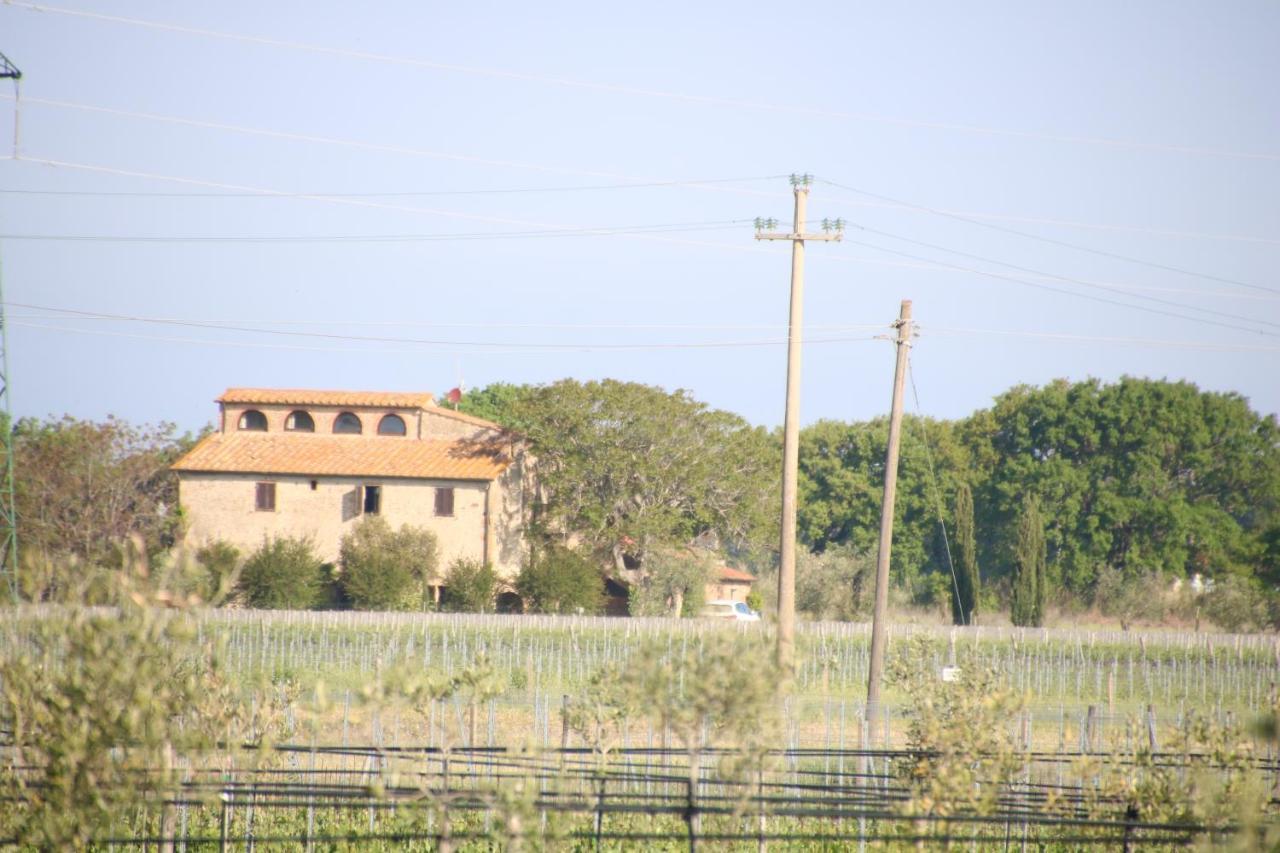 Podere Campo Alle Serpi Bibbona Exterior photo