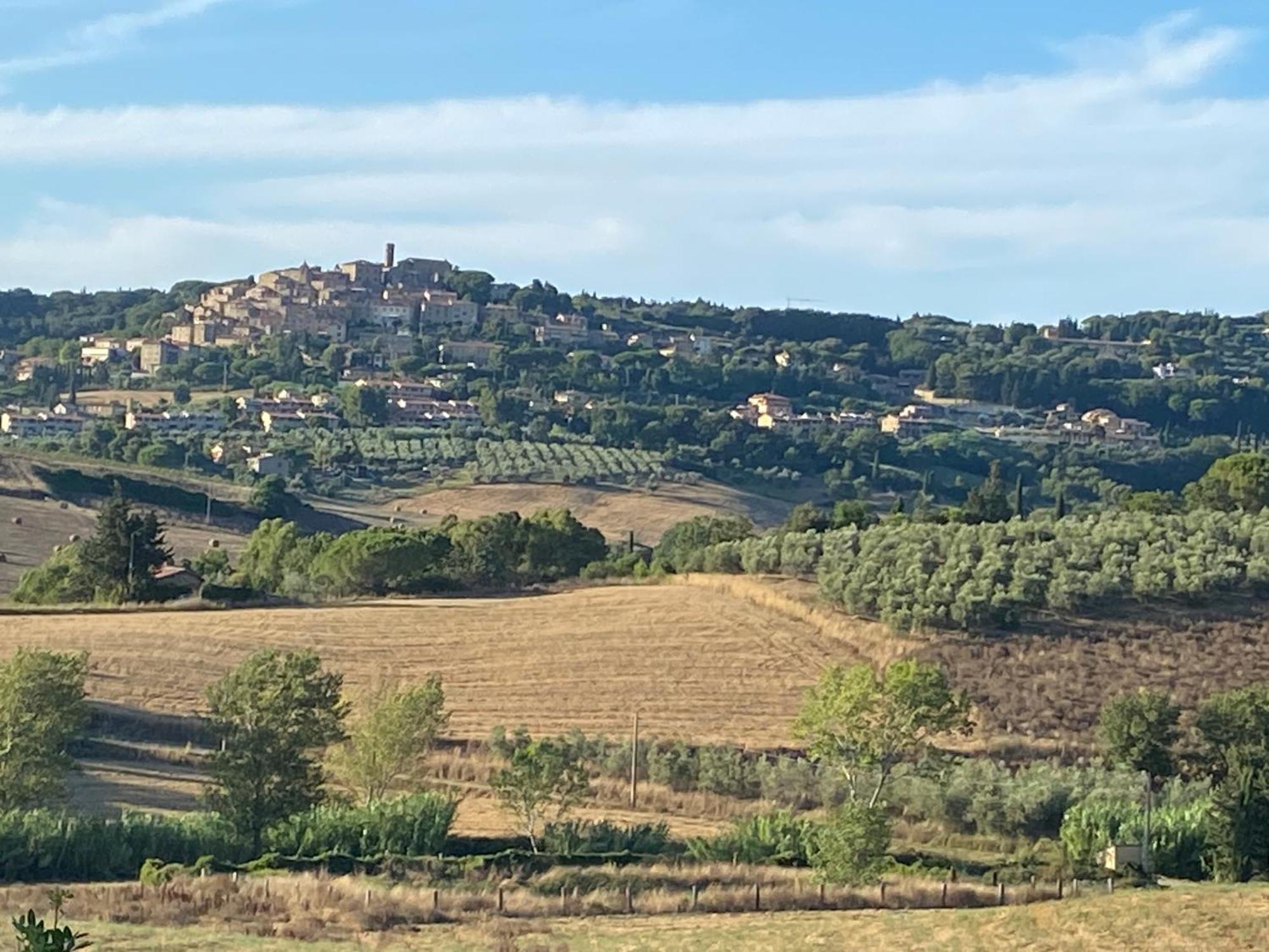 Podere Campo Alle Serpi Bibbona Exterior photo