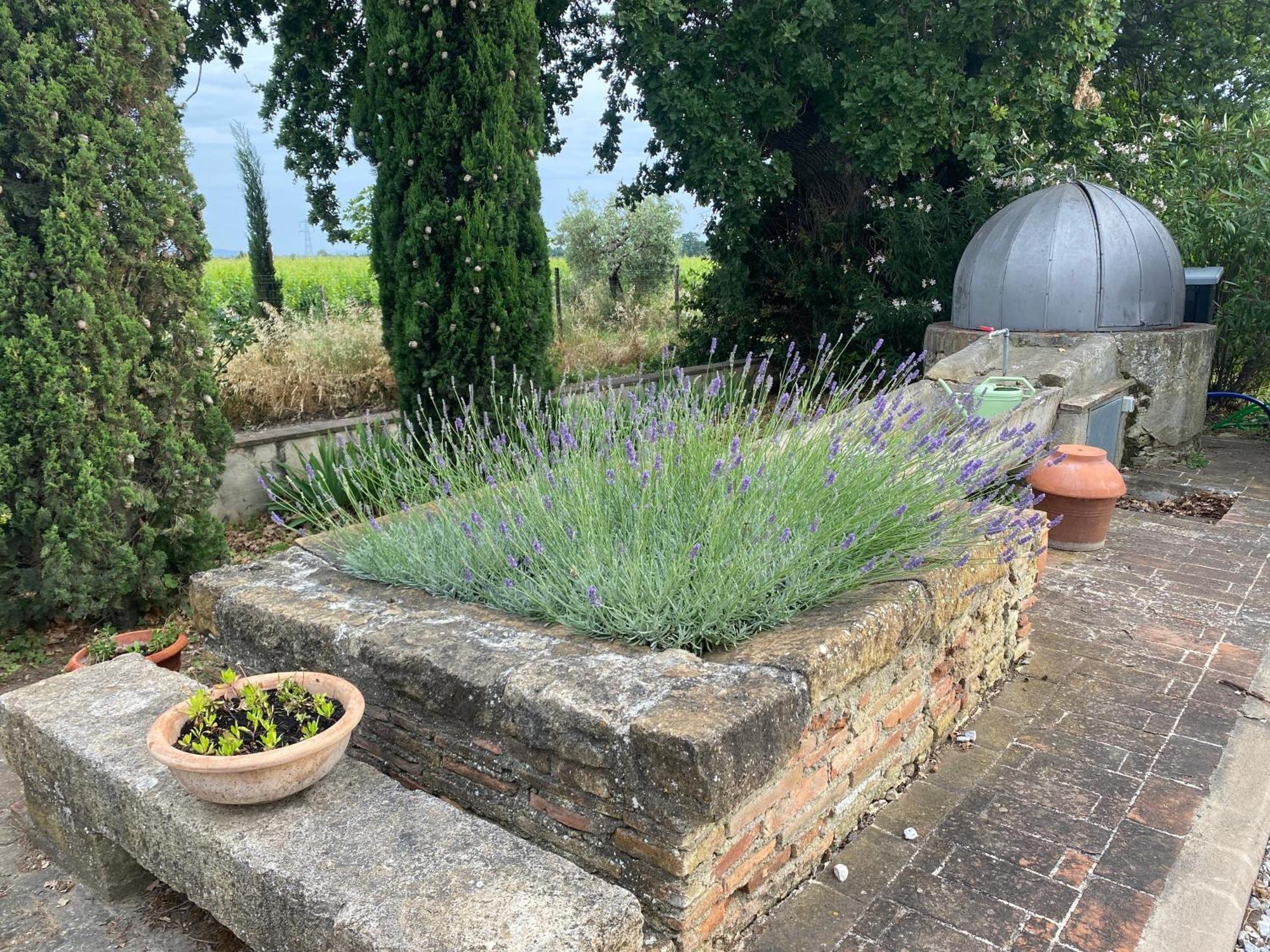 Podere Campo Alle Serpi Bibbona Exterior photo